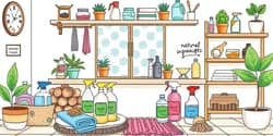 Economizar em Produtos de Limpeza Doméstica: Melhores Dicas