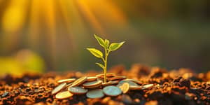 Microinvestimentos: Pequenos Montantes, Grande Potencial